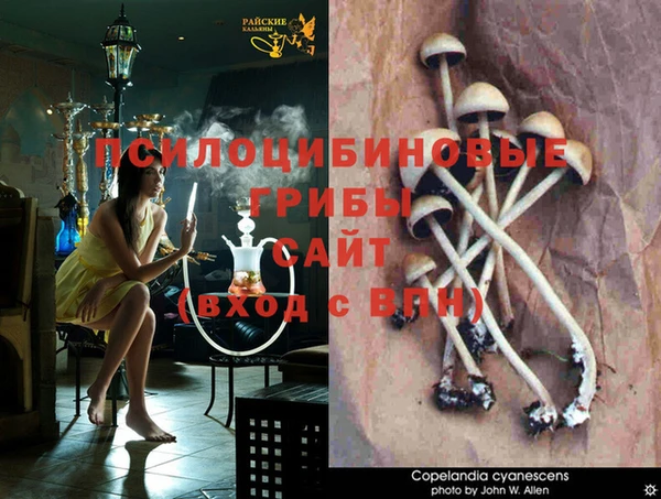 бутик Осинники