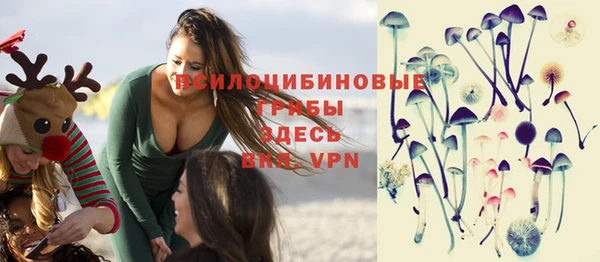 MESCALINE Няндома