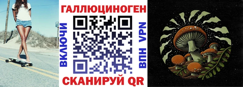 купить   Осташков  Галлюциногенные грибы прущие грибы 